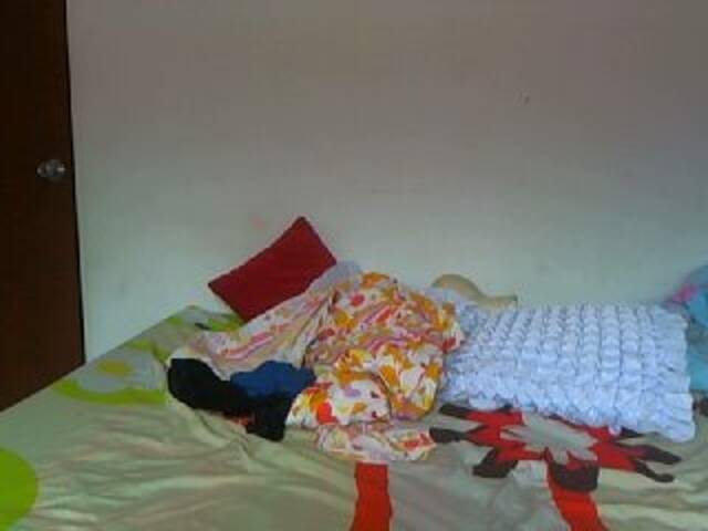 Capturas de tela de transmissão AlexaStone