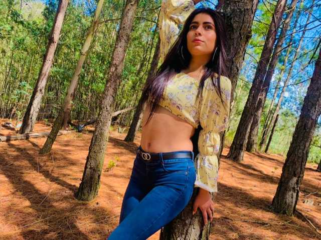 Foto do perfil AllyEvans