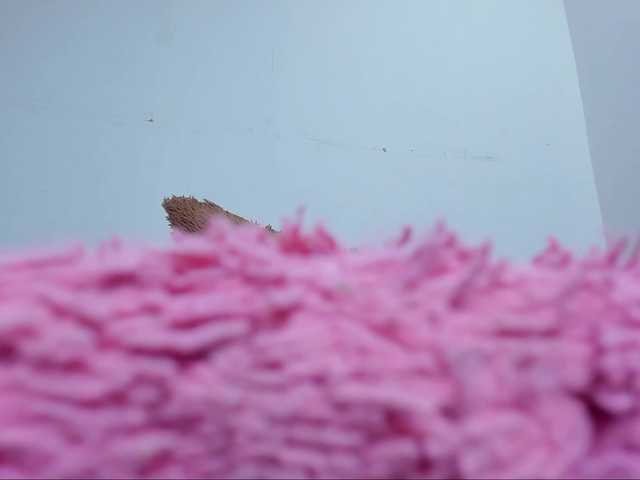 Capturas de tela de transmissão Alondra-27
