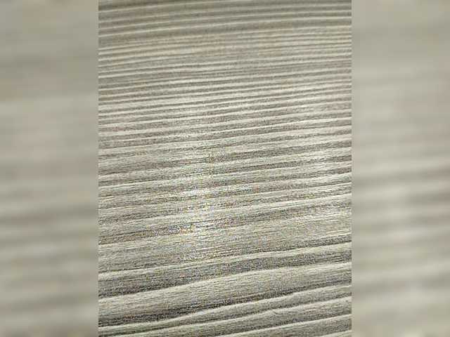 Capturas de tela de transmissão alysya111222