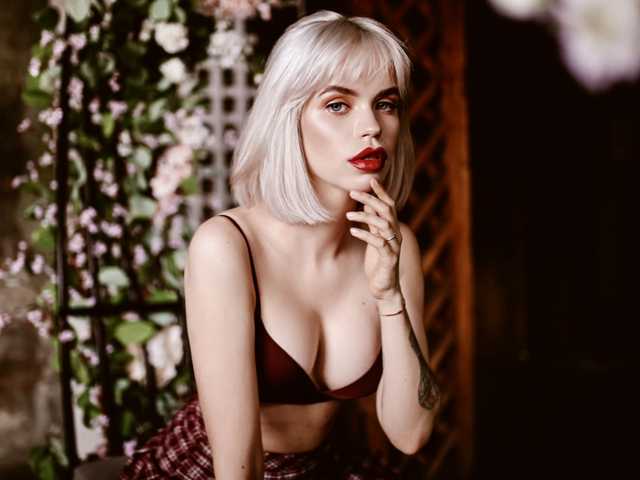 Foto do perfil AmberNew