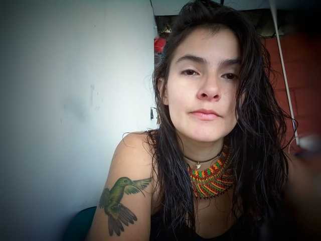 Foto do perfil AmelieColins