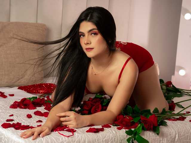 Foto do perfil amy-saenz
