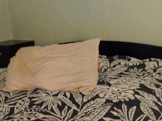 Capturas de tela de transmissão Alissia_Kiss