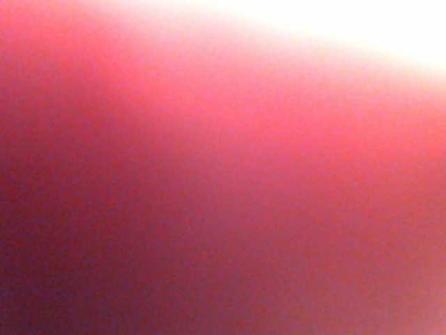 Capturas de tela de transmissão anawild4you