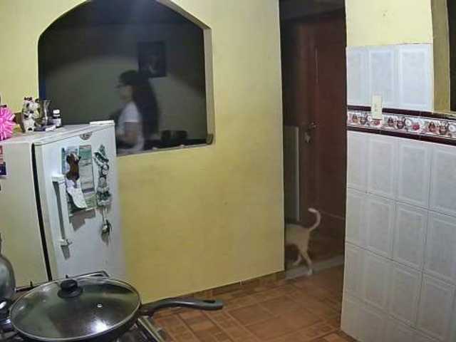 Capturas de tela de transmissão anyqueen