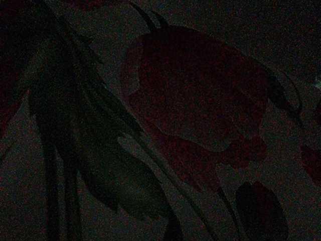 Capturas de tela de transmissão Rosalia_____