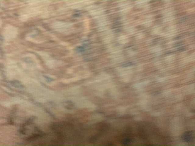 Capturas de tela de transmissão ArinaLina