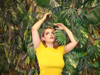 Foto do perfil AryBright