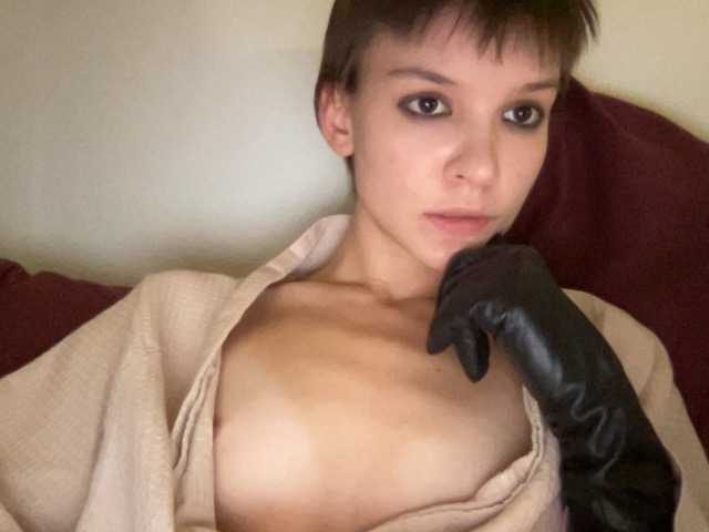 Capturas de tela de transmissão avrorasky