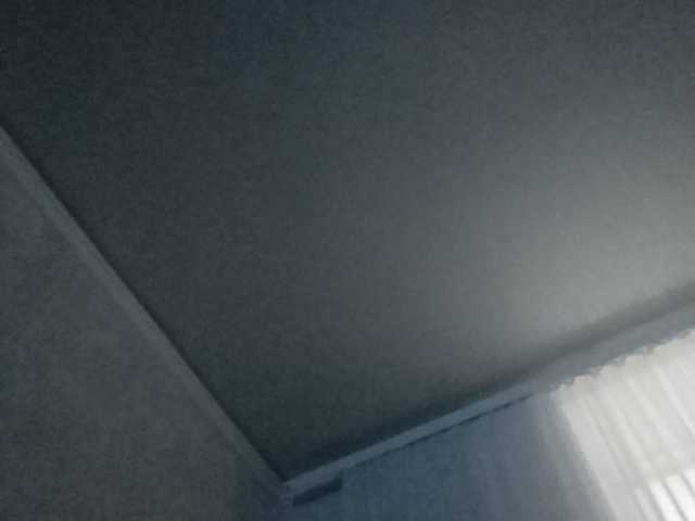 Capturas de tela de transmissão b1ToorBoPussy