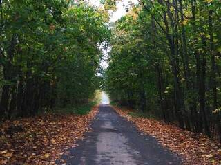 Chat de vídeo erótico Babochkaa