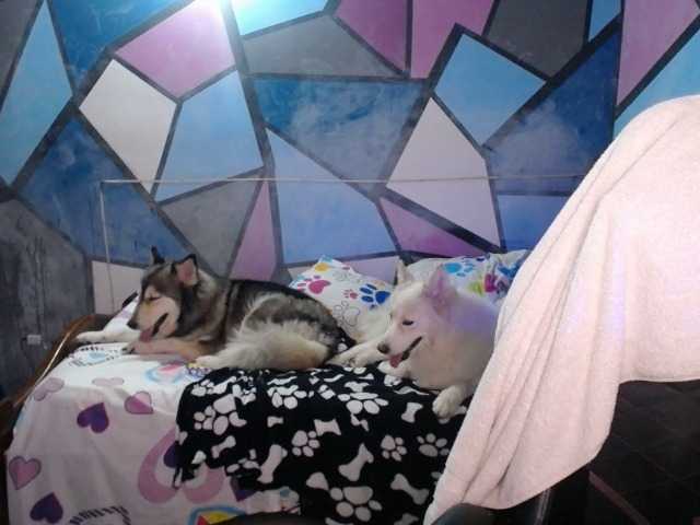 Capturas de tela de transmissão beautifulchubbyqueen