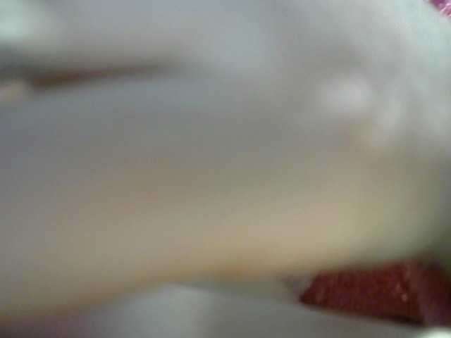 Capturas de tela de transmissão t_w_i_n_k_l_e