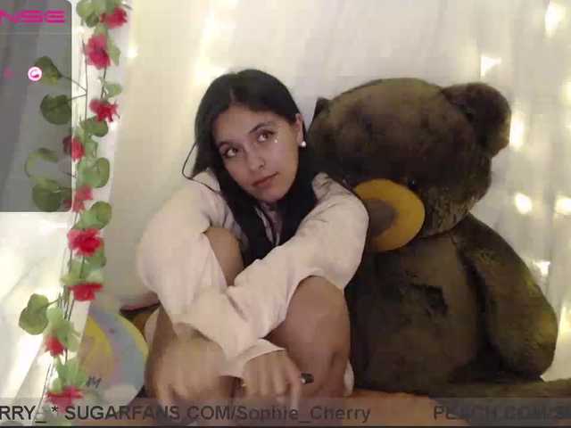 Capturas de tela de transmissão soficute