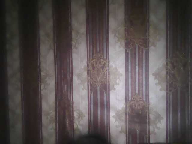 Capturas de tela de transmissão -jasmine-