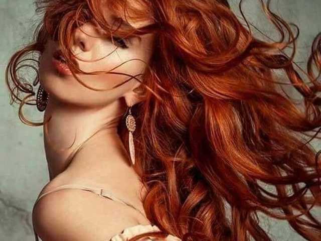 Foto do perfil Chanterelle