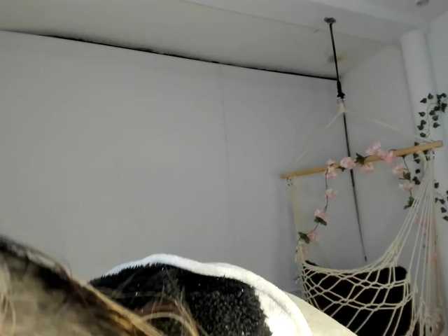 Capturas de tela de transmissão Charlotte-mwc