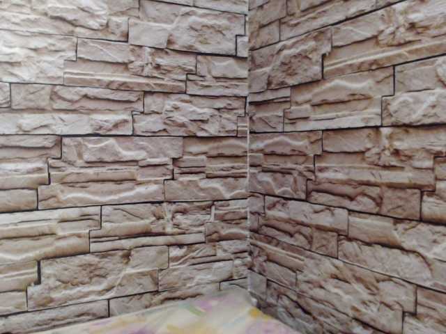 Capturas de tela de transmissão ColetteEvans