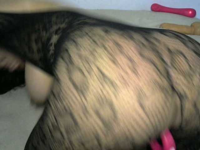 Capturas de tela de transmissão COLORFULPUSSY