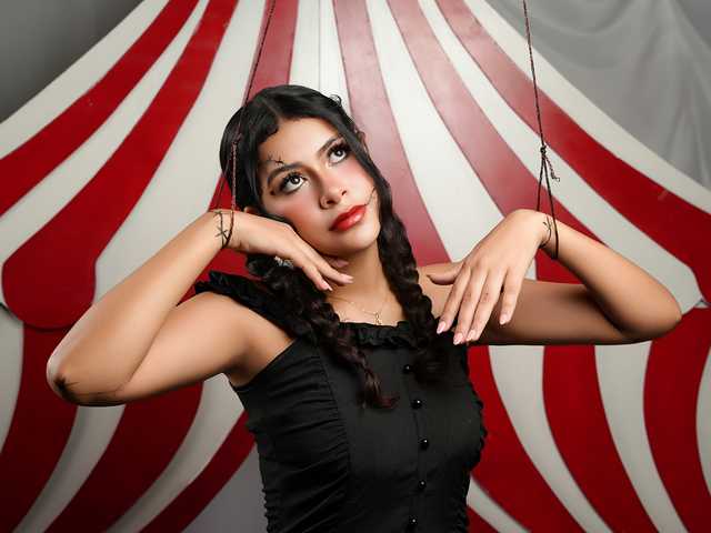 Foto do perfil CurlyDani