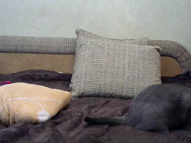 Capturas de tela de transmissão cute-girll