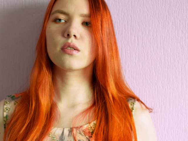 Foto do perfil cuteredfox