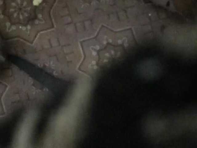 Capturas de tela de transmissão dashadashaa