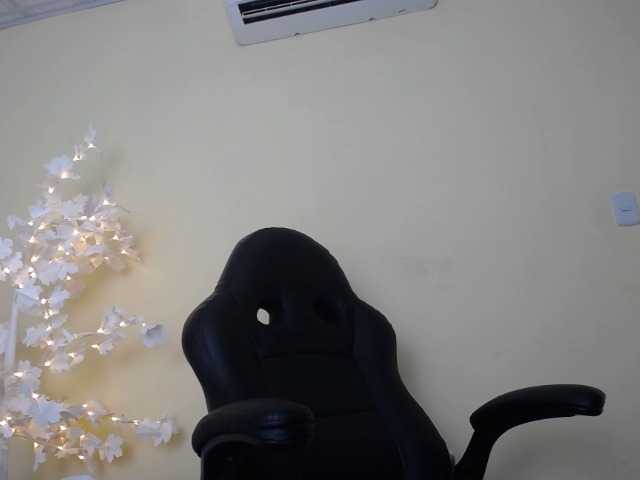 Capturas de tela de transmissão DEVANY-REY