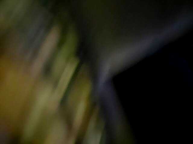 Capturas de tela de transmissão DiiRolla