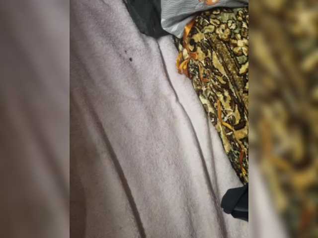 Capturas de tela de transmissão DiiRolla