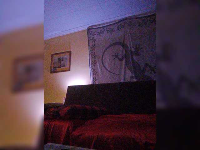 Capturas de tela de transmissão Doggysx