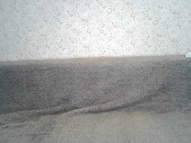 Capturas de tela de transmissão ElegantBlonda