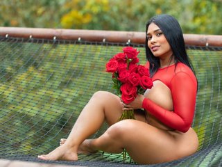 Chat de vídeo erótico Ericajohnson12