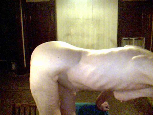 Capturas de tela de transmissão EstinaHottie