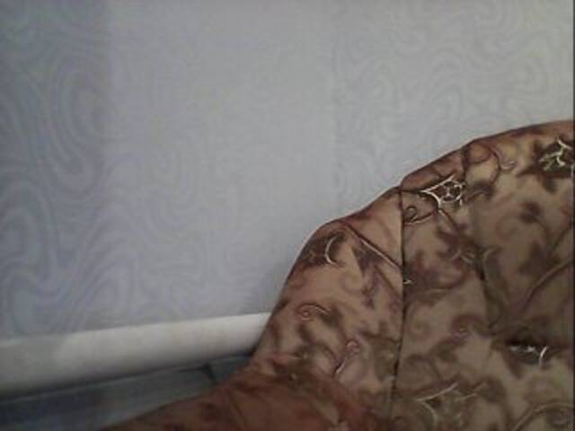 Capturas de tela de transmissão AngelLadyEva