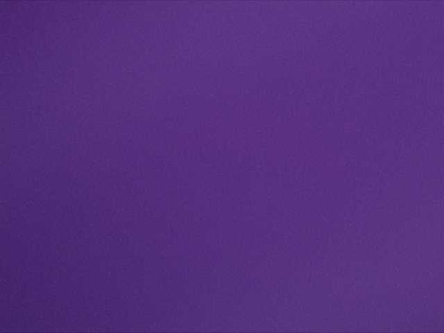 Capturas de tela de transmissão AngelLadyEva