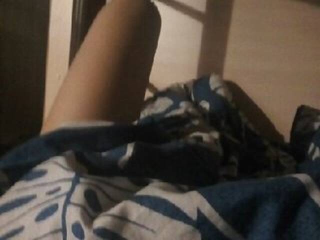 Capturas de tela de transmissão Flamingo86