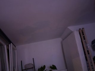 Chat de vídeo erótico Flora8845