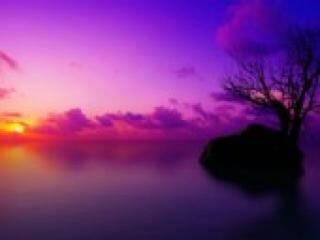 Chat de vídeo erótico florabella