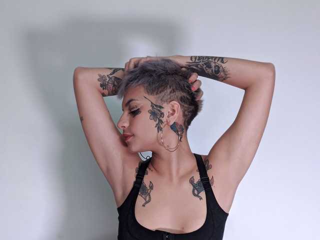 Foto do perfil fridamuller1