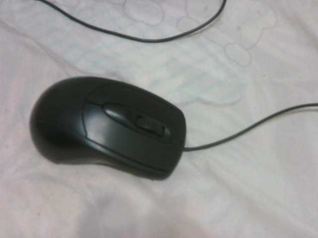 Capturas de tela de transmissão FuckMyAnus