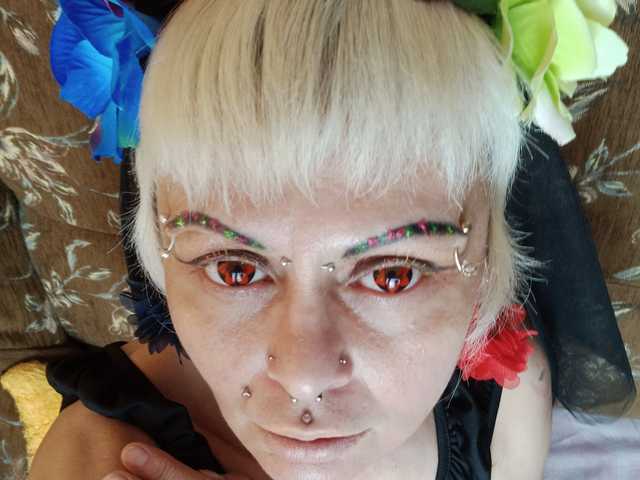 Foto do perfil GardenerofIllusions