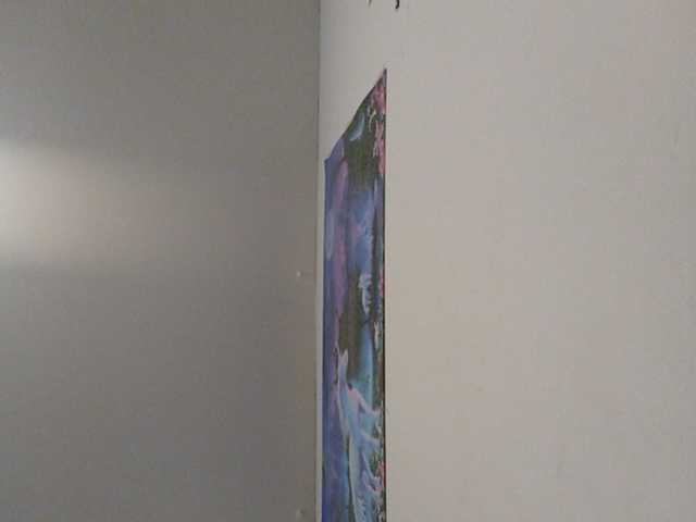 Capturas de tela de transmissão GlazinD