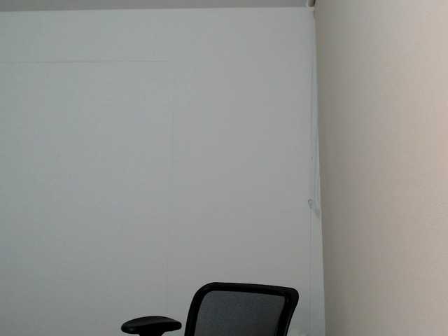 Capturas de tela de transmissão Hollybaker