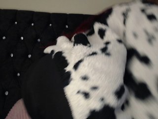 Chat de vídeo erótico Hornyrata