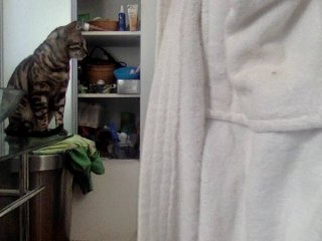 Capturas de tela de transmissão hottielouve