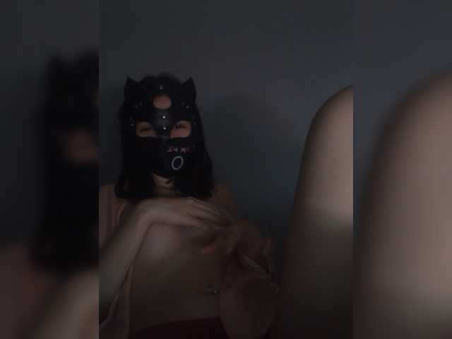 Capturas de tela de transmissão Kitty-roo