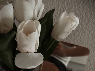 Chat de vídeo erótico ISweetI