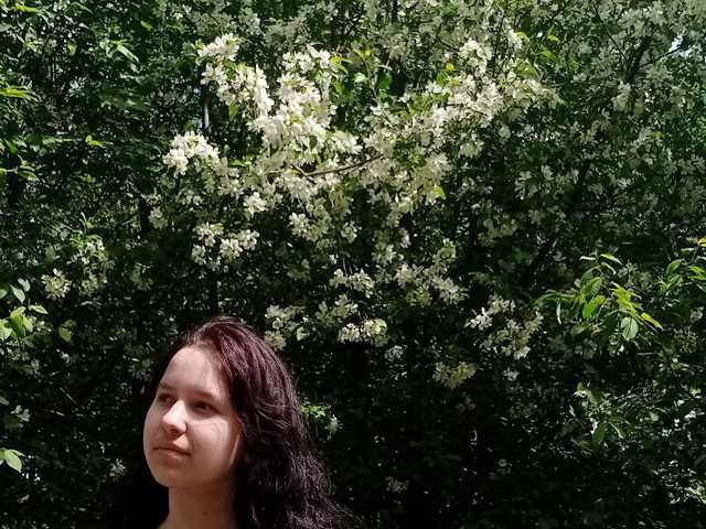 Foto do perfil LisaMeowss